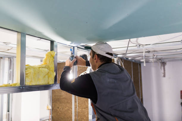 Best Residential Insulation in Lexington, MS