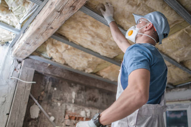Best Commercial Insulation in Lexington, MS