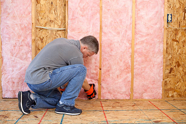 Best Cellulose Insulation in Lexington, MS