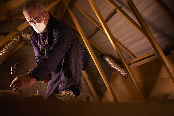 Types of Insulation We Offer in Lexington, MS