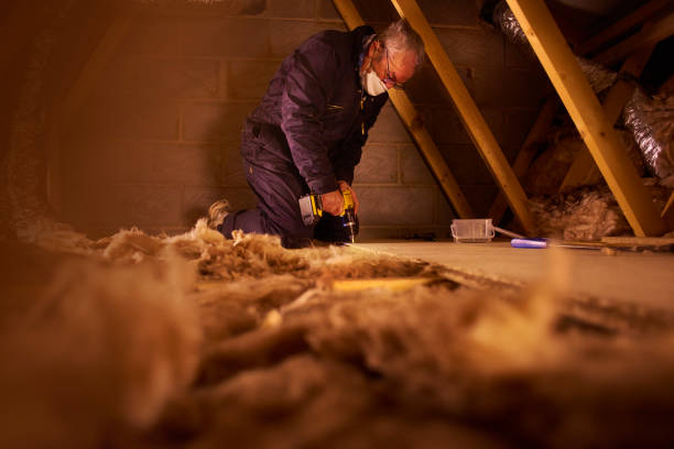 Best Fiberglass Insulation in Lexington, MS